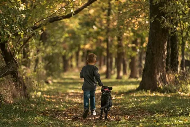 Guide d'achat des meilleurs séjours en pleine nature