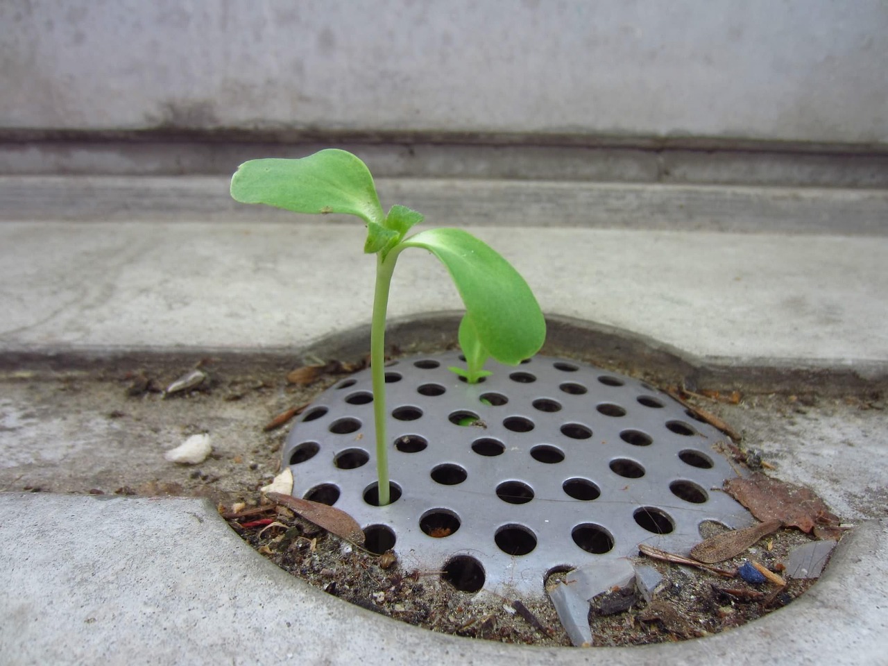 découvrez les merveilles du monde avec 'wonders'. un voyage fascinant à travers des paysages époustouflants et des expériences inoubliables qui éveilleront votre curiosité et stimuleront votre imagination. plongez dans l'émerveillement et laissez-vous inspirer par la beauté qui nous entoure.